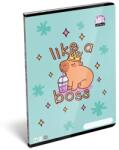ICO Lollipop Capybara: Тетрадка с редове - A4, 4. клас (7500164000)