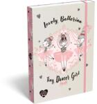 ICO Lovely Ballerina: Cutie dosar - format A4 (7470216003)