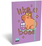 ICO Lollipop Capybara: Mapă din cauciuc - format A4 (7460148000)