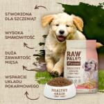 VetExpert Raw Paleo Healthy Grain Puppy lazac és árpa - száraz kutyatáp - 10 kg