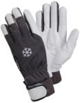 Ejendals AB Manusi protectie frig Tegera 117, alb/negru, mas. 10 (117-10) - bricolaj-mag