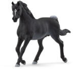 Schleich Căluți Arab (SLH13981) Figurina