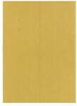  Dekorációs karton 50x70 cm 2 oldalas 200 g arany - mystock