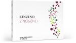  ZinoGene+ supliment alimentar cu fucoidani, vitamina C si zinc, 30 tablete (ZinoGene+)