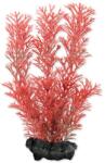 TETRA Декорация Tetra Растение Foxtail Red S 15cm (A1-270268)