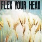 Various Artists - Flex Your Head (Reissue) (Coloured) (LP) (0643859007013)