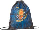 Disney Sac sport LEGO - Ninjago Arin (10034-2404)