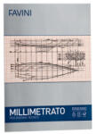 Favini Hartie milimetrica A4 80 g/mp FAVINI (A205004)