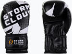 StormCloud Mănuși de box StormCloud Bolt 3.0 black/white