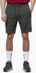 Pitbull Pantaloni scurți pentru bărbați Pitbull Sampson grey/green