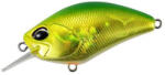DUO REALIS CRANK 55SR KABUKI 5.5cm 10gr ADA3185 Itako Green Gold