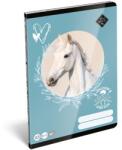 LIZZY Füzet, tűzött, A5, sima, 32 lap LIZZYSULI, Wild Beauty, Sport Club , 20-32 (7500172004) - kellekanyagonline