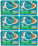 ONE Multipack Indoor mini filé chicken 72x85 g