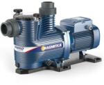 Pedrollo Magnifica 4T (43MA041A)