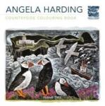 Harding, Angela Kolorowanka Angela Harding Countryside Colouring Carte de colorat