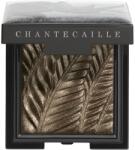 Chantecaille Luminescent Eye Shades gyöngyházas szemhéjfestékek Rhinoceros 2.5 g