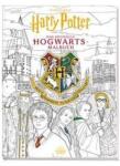 Panini Harry Potter: Cartea oficială de colorat Hogwarts Carte de colorat