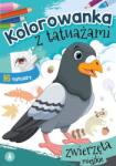 Danuta Klimkiewicz, Maria Kwiecień Wydawnictwo Skr Carte de colorat cu tatuaje. Animale urbane