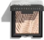 Chantecaille Luminescent Eye Shades gyöngyházas szemhéjfestékek Cheetah 2.5 g