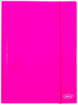 Daco Mapa A4 carton laminat Roz DACO - Set 10 (MR001RZ)