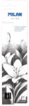 MILAN Creion carbune set 3 MILAN 07B622203 (07B622203)