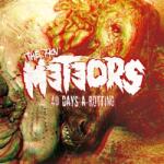 The Meteors - 40 Days A Rotting (Limited Edition) (LP) (4260435274117)
