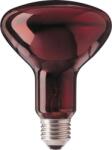 Helios Fűthető zoológiai reflektor lámpa terráriumhoz 100W E27 (R95-E27-100W)