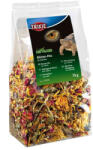 TRIXIE Flower Mix - kiegészítő eleség (virág keverék) növényevő és mindenevő hüllők részére (75g) (028-76394)
