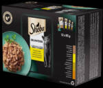Mars-Nestlé Sheba Delicacy in Jelly Adult - Alutasakos (Baromfi válogatás, zselés) macskák részére (12x85g) (265281)