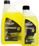 CARLINE Antifreeze R 25L (CAR2039)