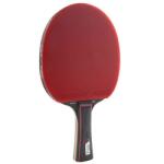 JOOLA Match Pro ping-pong ütő (53022)
