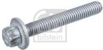 Febi Bilstein Șurub, vana ulei (cutie viteză automată) FEBI BILSTEIN 46389 (46389) - centralcar