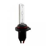 Carguard Bec Xenon H10-4300K - CARGUARD (BX-H10-4300K)