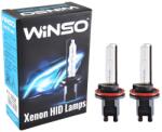 Winso Bec Xenon Winso H11 5000K, 85V, 35W PGJ19-2 KET (13047133)