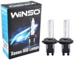 Winso Bec Xenon Winso H7 6000K, 85V, 35W PX26d KET (13047141)