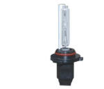 Carguard Bec Xenon 9005-6000K (HB3), Carguard, , 12V, 35W (BX-9005)