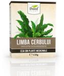 Dorel Plant Ceai de Limba cerbului Navalnic, 120g, Dorel Plant