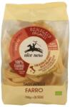 Alce Nero BIO Tönke tagliatelle (szélesmetélt) 250g