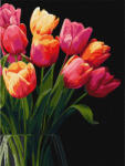 Ideyka Festés számok szerint - Tulipánok 30*40 cm