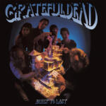 Grateful Dead - BUILT TO LAST (140 GR 12") - Vinyl (0349783062)