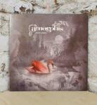 Amorphis - SILENT WATERS -GATEFOLD- - Vinyl (4251981700427)
