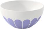 Villeroy & Boch Bol Fleur Bleu 14 cm (10-4551-1900) Castron