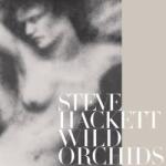 Steve Hackett - WILD ORCHIDS -HQ- - Vinyl (0196588370618)