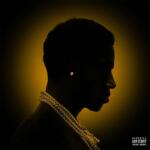 GUCCI MANE - MR. DAVIS (140 GR 12" CLEAR-LTD. ) - Vinyl (7567862880)