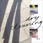 Dry Cleaning - NEW LONG LEG - Vinyl (0191400025417)