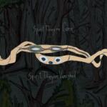 Animal Collective - SPIRIT THEY'RE. . -INDIE- - Vinyl (0887830017534)