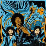 THIN LIZZY - The Acoustic Sessions / Vinyl, LP - Vinyl (7800242)