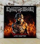 Iron Maiden - THE BOOK OF SOULS (LIVE) 180 GR 12 3LP - Vinyl (0190295760878)