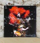 BJORK - BIOPHILIA - Vinyl (5016958141769)