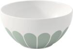 Villeroy & Boch Bol Fleur Vert 14 cm (10-4550-1900) Castron